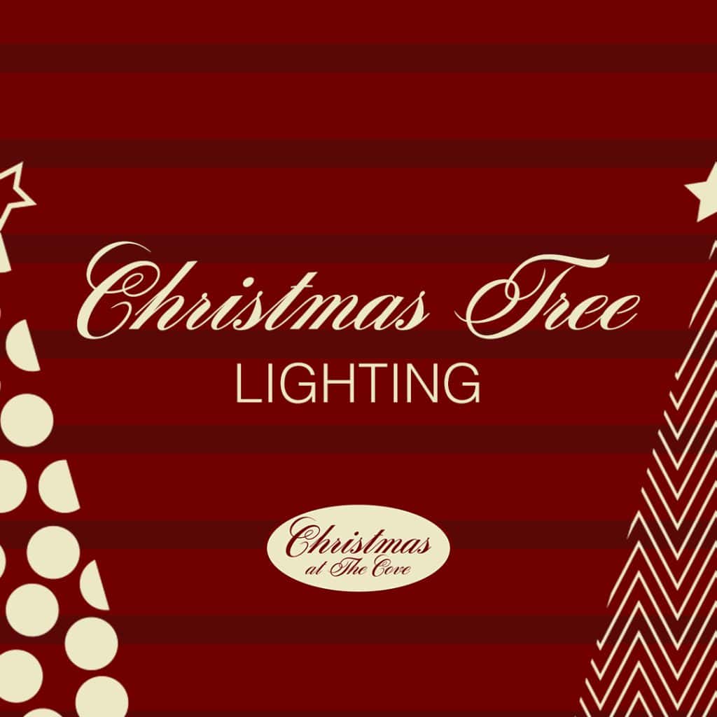 ChristmasTreeLighting